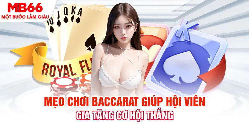 ae888 đá gà 88