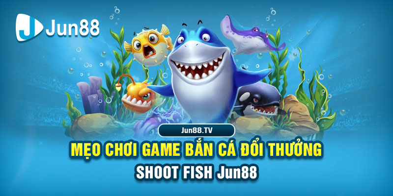 ae888 tai game danh bai bigkool ve may tinh