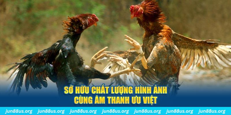ae888 tai game danh bai ve may tinh