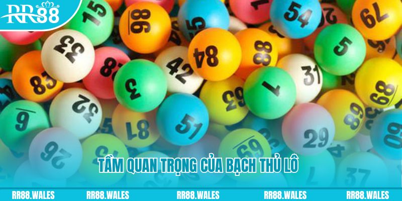 ae888 đá gà trực tiếp casino