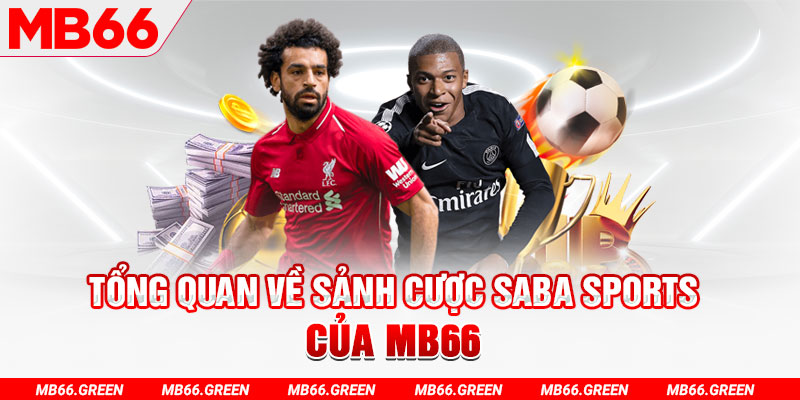 ae888 slot có nghĩa là gì