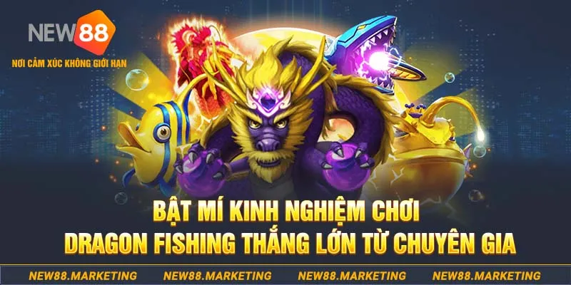 ae888 who wants to be a millionaire slot